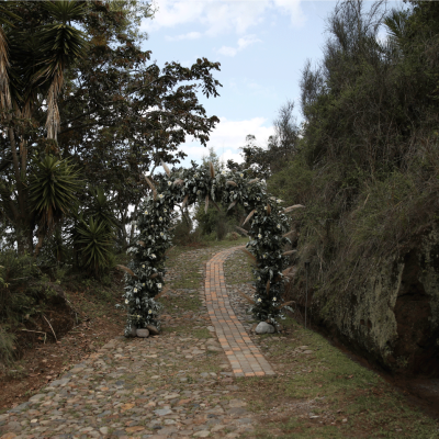 Portal de ingreso