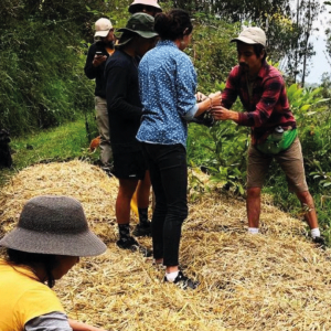 Voluntariados-cuevas-del-ilalo